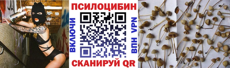 Купить где  Котельнич  Псилоцибиновые грибы ЛСД 